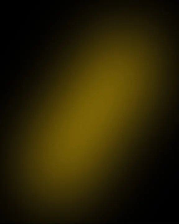 Aperçu du projet ALEX