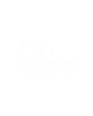 Visuel du projet DOMAINE BESARD