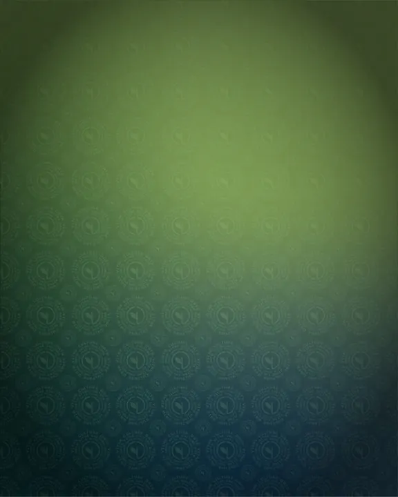 Aperçu du projet CULTURE & DATA