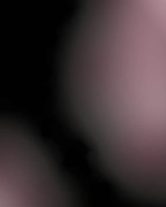 Aperçu du projet CAROLINE