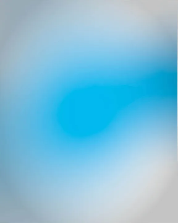 Aperçu du projet Mega-Hosting